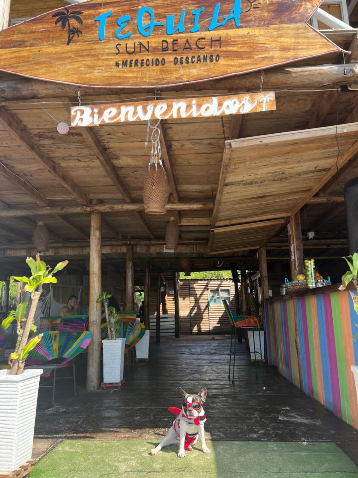 Tequila Sunbeach Baru Eco-Hotel Pendales Esterno foto