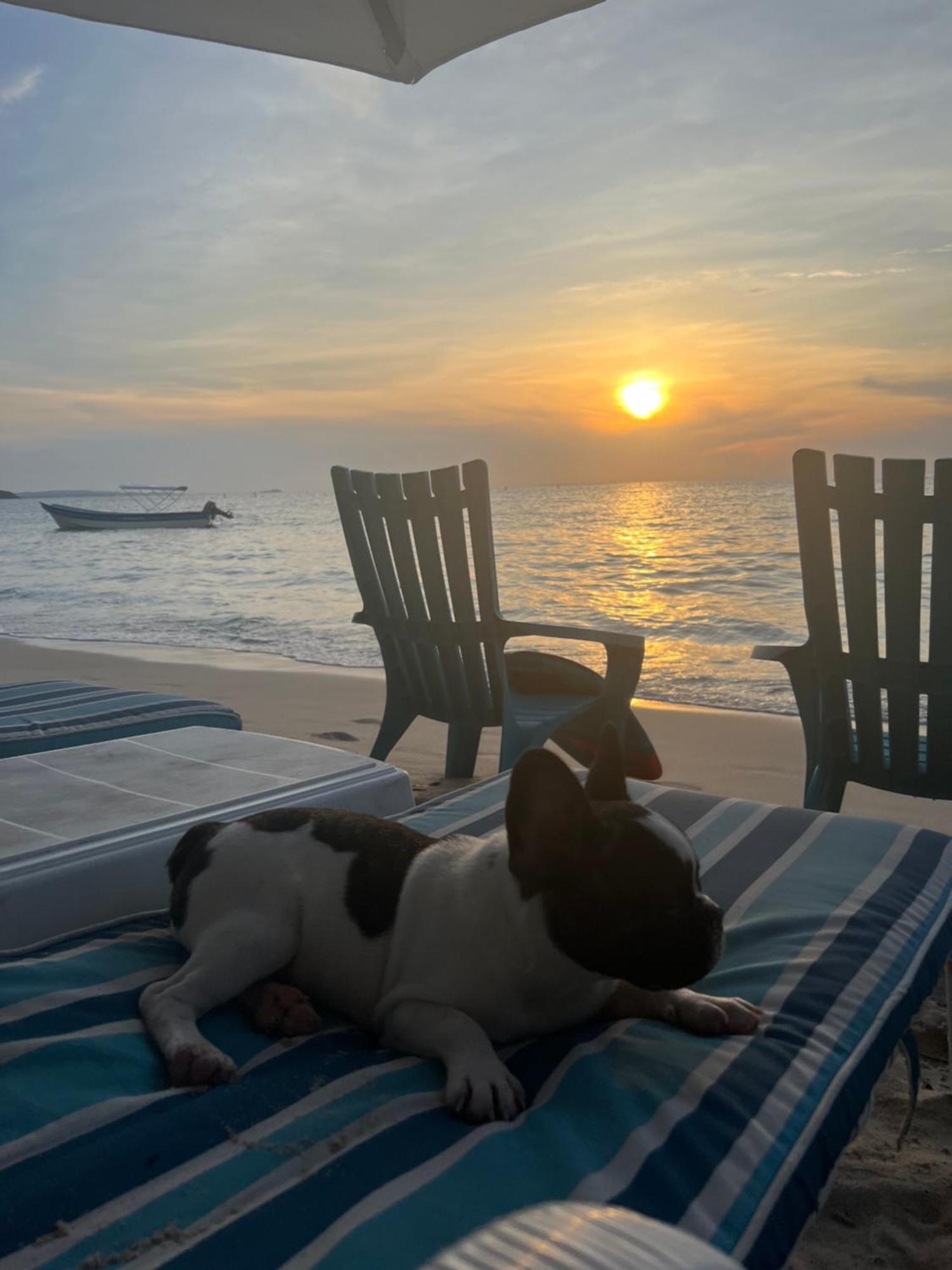Tequila Sunbeach Baru Eco-Hotel Pendales Esterno foto